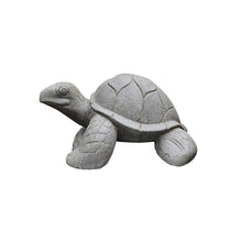 Pair Of Left And Right Facing River Stone Turtles