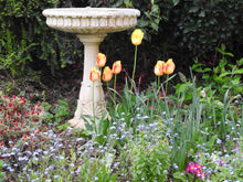 Victorian Style Hazelwood Bird Bath